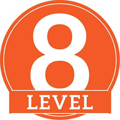 level-08