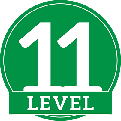 level-11