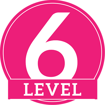 level-06